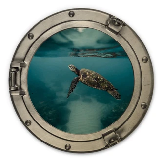 Holzbild 3D-Optik Bullauge - Schildkröte seitlich - Rund 