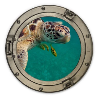 Stampa su legno effetto 3D - Tartaruga 