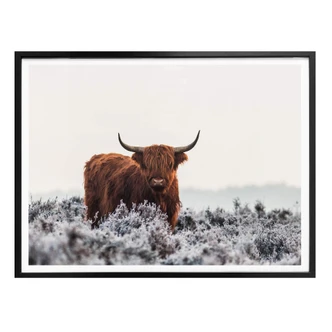 Poster van den Helm - Highlander Poster van den Helm - Highlander