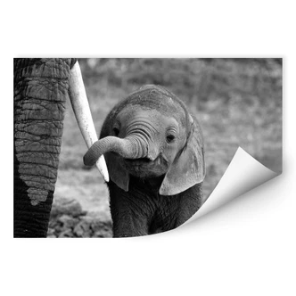 Wallprint Alicke - Close to Mum 
