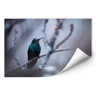 Zelfklevende Poster Bravin - Electrical Blue Zelfklevende Poster Bravin - Electrical Blue