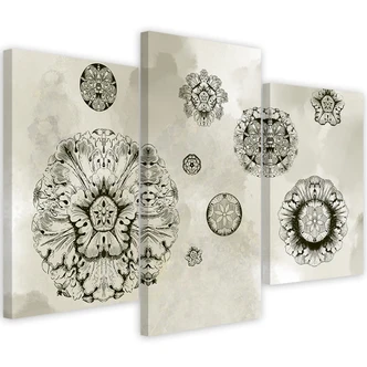 Leinwandbild 3 teilig, Florale geometrische Formen 
