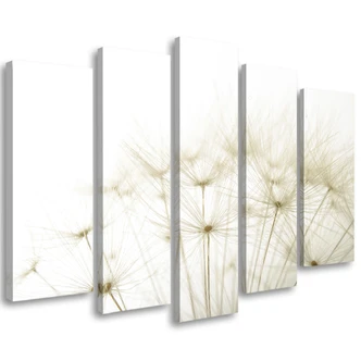 Leinwandbild 5 teilig, Gebläse Blumen Natur 