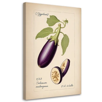 Leinwandbild Gemüse Weinlese Aubergine 