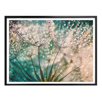 Poster Delgado - Glittery Dandelions 