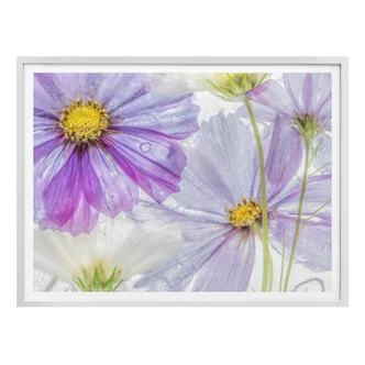 Plakat Disher - Zamrożone kwiaty 