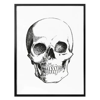 Poster – Human Skull 