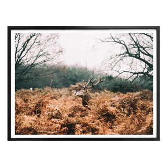 Poster In the woods 