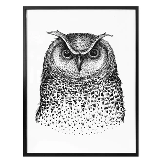 Poster Kvilis - Eule 01 