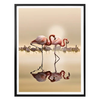 Poster Osman - Flamingo 