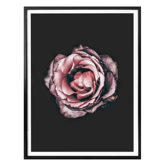 Premium Poster Pink Flower Dream 02 