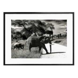 Poster Elephant and Baby 