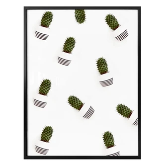 Poster Mon petit cactus - des cactus 