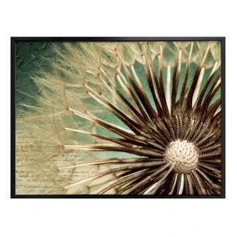 Poster dandelions poetry Poster dandelions poetry