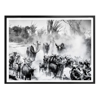 Poster Tagliarino - Ziegenherde in Afrika 