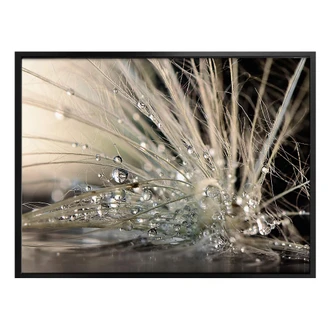Poster Zahiremehr - Story of a Waterdrop 