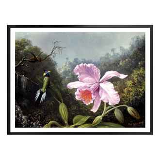 Poster Heade - Nature morte avec orchidée et colibri 