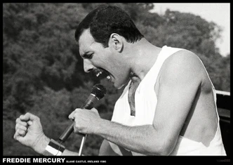 Poster Freddie Mercury - Slane castle, Ierland 1996, poster (84,1 x 59,4 cm) 