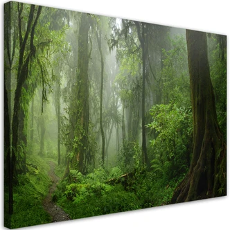 Leinwandbild, Tropischer Dschungel 
