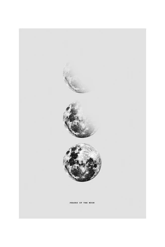 Poster Finlay & Noa - Moon 5, Plakat (40 x 60 cm) 
