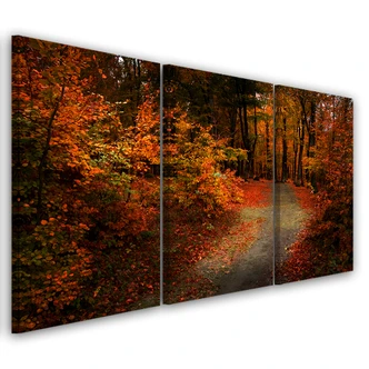 3-delige canvas print Bos Herfst Bladeren Natuur 