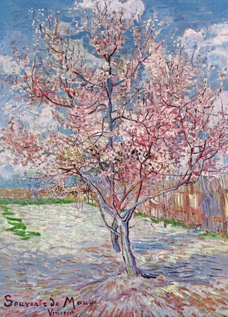 Poster Souvenir de Mauve - Pink Peach Tree in Blossom, 1888 Kunstdruck, Vincent van Gogh (24 x 30 cm) 