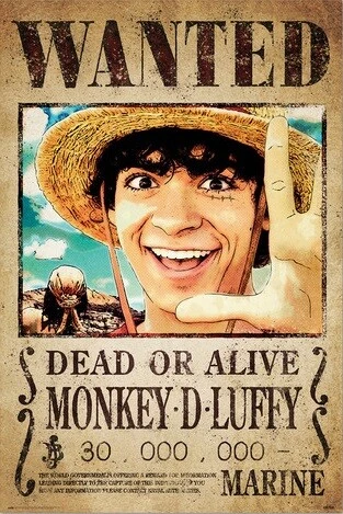 Poster, film poster One Piece - Wanted Monkey D. Luffy 61x91,5 cm 