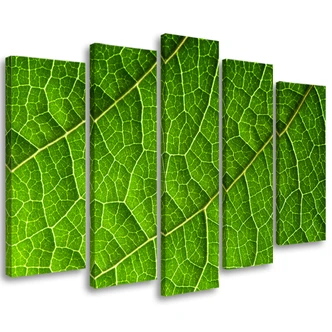 Leinwandbild 5 teilig, Grünes Laub Natur 