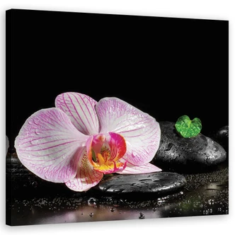 Leinwandbild, Blumen Orchidee Zen Spa 