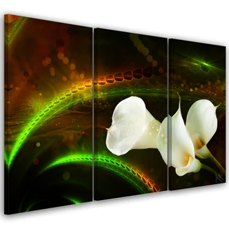 Leinwandbild 3 teilig, Weiße Blume auf braunem Hintergrund 