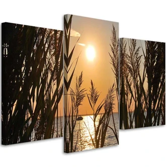 Leinwandbild 3-teilig, See Gras Sonnenuntergang 