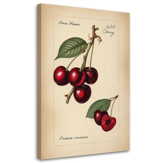 Leinwandbild, Obst Weinlese Kirsche Leinwandbild, Obst Weinlese Kirsche