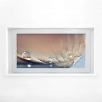 Sichtschutzfolie Dmitry - Story of a Waterdrop - P 