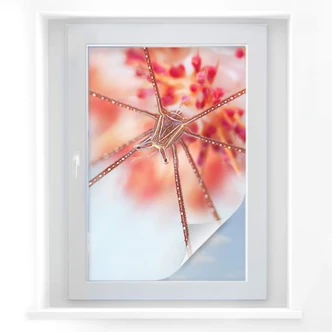 Sichtschutzfolie Narchuk - Unterwasser-Exotik 