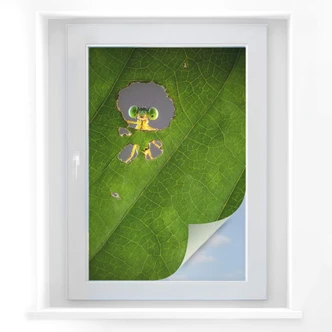 Sichtschutzfolie Wilianto - Hello little Friend 