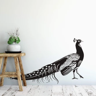 Muursticker Pauw 1 