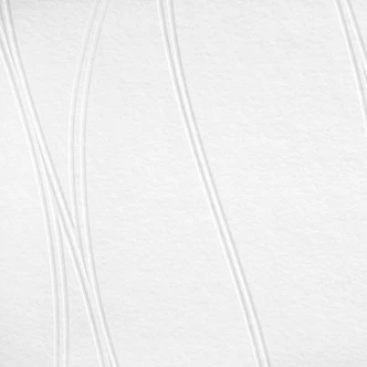 A.S. Création Vliesbehang Meestervlies Pro Protect 2 Wit, overschilderbaar 