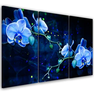 Leinwandbild 3 teilig, Blaue Orchideenblume 