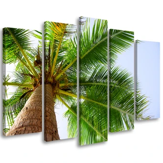 Leinwandbild 5 teilig, Palme Meer Strand 