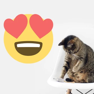 Wall Sticker Emoji Heart-Shaped Eyes 