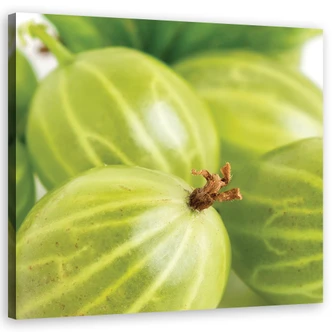 Leinwandbild, Stachelbeeren Obst Leinwandbild, Stachelbeeren Obst