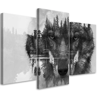 Leinwandbild 3-teilig, Wolf Wald Schwarz und Weiß 