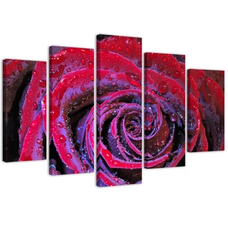 Leinwandbild 5 teilig, Rosenblüte Rot 