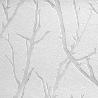 A.S. Création Vliestapete Meistervlies Tapete mit Ästen überstreichbar weiß 
