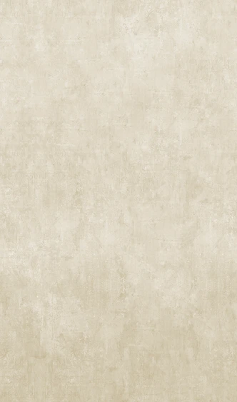 Fototapete mit grafischer Betonoptik Beige Ornamental 2.70 x 1.59m 