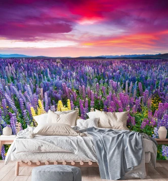 Fototapete, Lavendel Blumen auf einer Wiese 