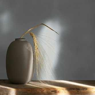 Vliestapete Betonoptik Uni Modern matt in Grau Vliestapete Betonoptik Uni Modern matt in Grau