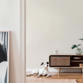 Biała tapeta jednostkowa - tapeta z włókniny, jednokolorowa - A.S. Création 