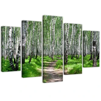Leinwandbild 5 teilig, Birkenwald Natur 