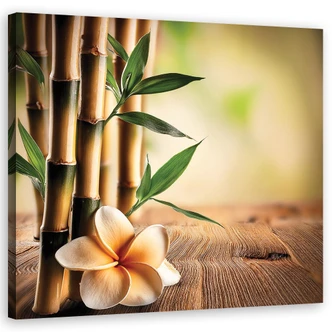 Leinwandbilder mit Bambus-Motiven | wall-art.de